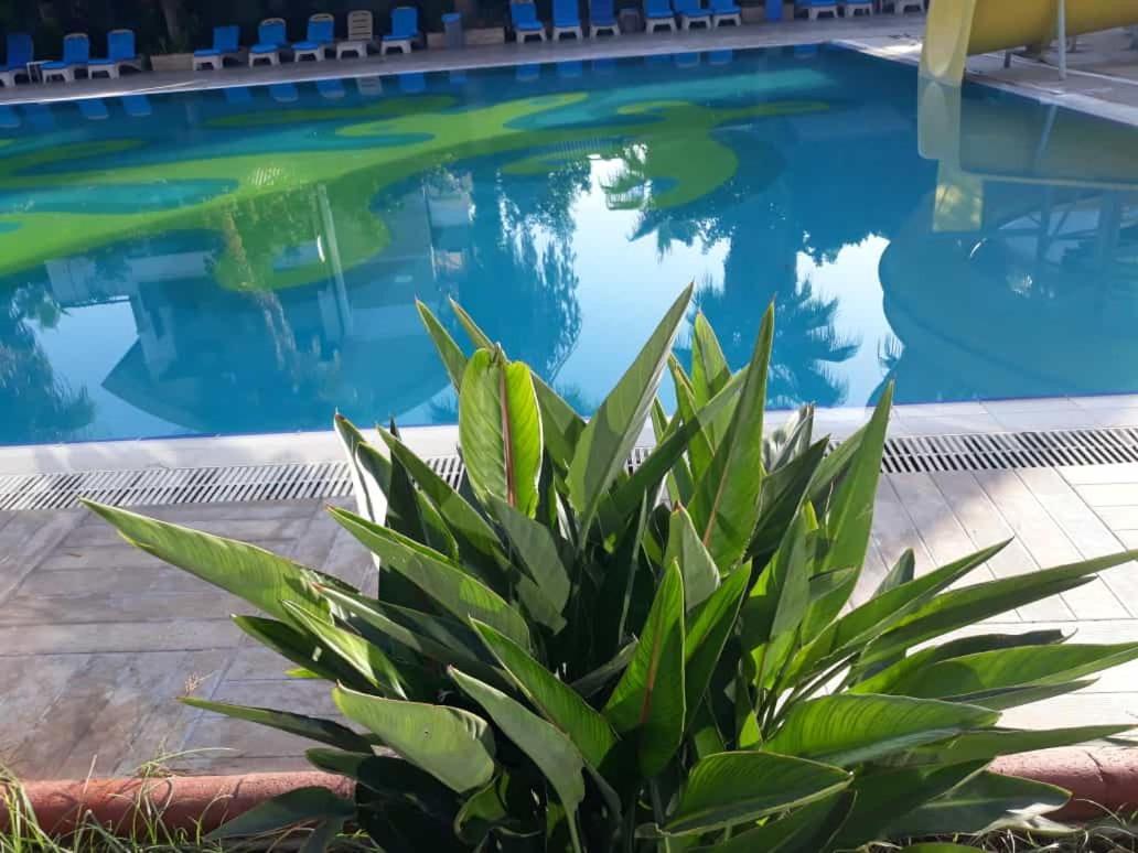 Club Jovia Kemer Hotel Antalya Ngoại thất bức ảnh