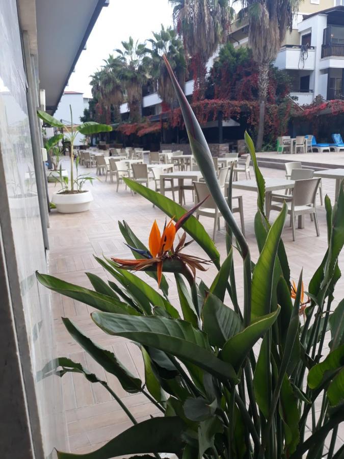 Club Jovia Kemer Hotel Antalya Ngoại thất bức ảnh